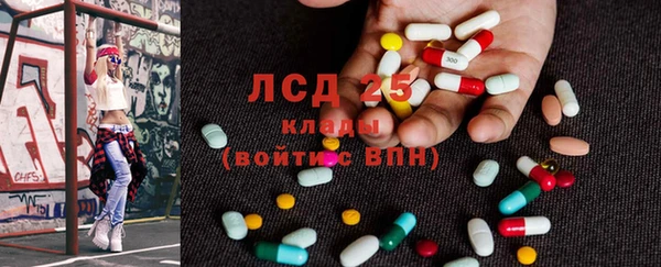 PSILOCYBIN Алзамай